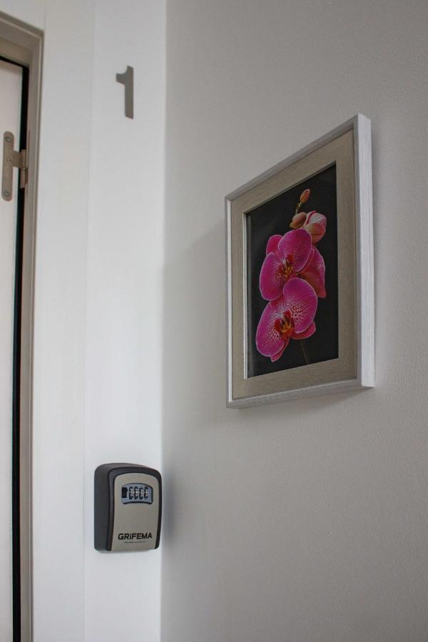 Flor&Fidalgo Guest House Sintra Exterior photo